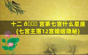 十二 💐 宫第七宫什么星座(七宫主落12宫婚姻隐秘)